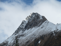 Nationalpark Hohe Tauern I (Ströden bei Hinterbichl)